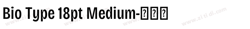 Bio Type 18pt Medium字体转换 Bio Type 18pt Medium字体转换